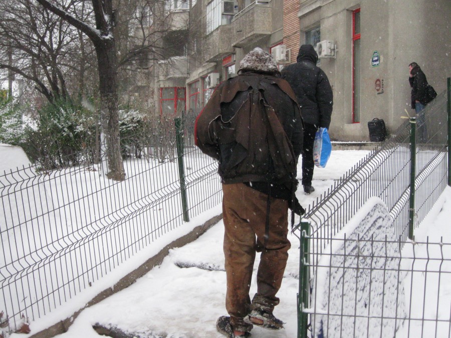 A votat Ana lu´ Manole! 