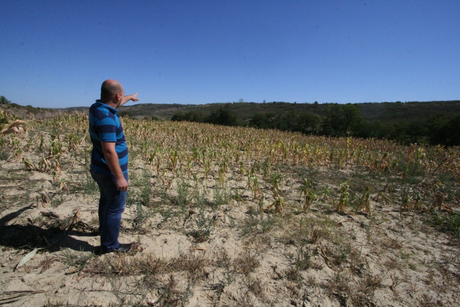 Noi dezvăluiri în Afacerea Hortigal: Ţăranii, forţaţi să vândă către mafia imobiliară