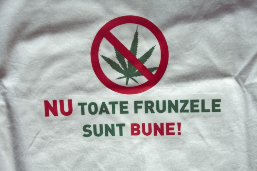 Concurs de proiecte: „Nu toate frunzele sunt bune!”