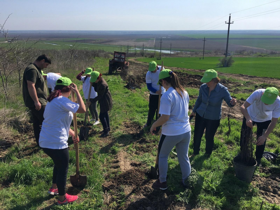 Peste 1.200 de voluntari, în Luna plantării arborilor