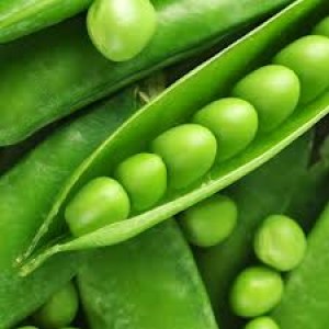 Producţia de mazăre s-a dublat în judeţul Galaţi 