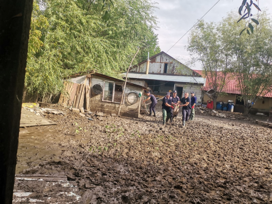 A început strângerea animalelor moarte din localitățile inundate