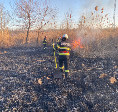 Incendiu de stuf şi vegetaţie uscată, în comuna Şendreni