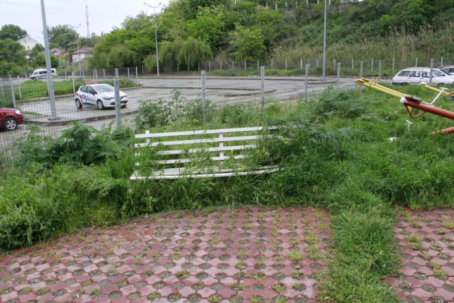 GOSPODĂRIRE URBANĂ, în primele şase luni din 2016. Lucrări făcute doar în parcuri, nu şi în jungla urbană