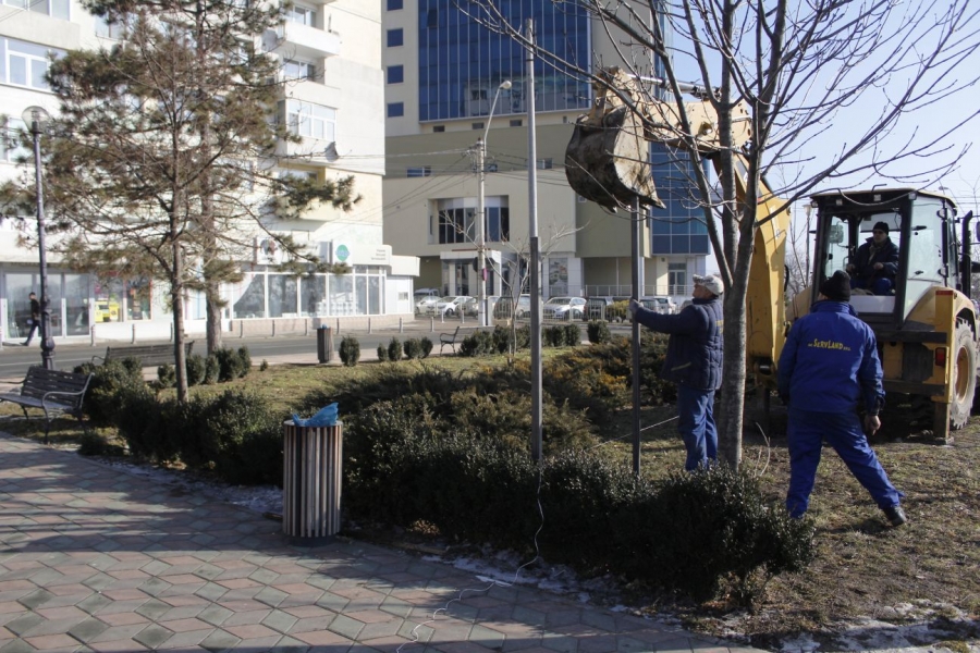 Începe etapa de proiectare a lucrărilor de la Falezogaură