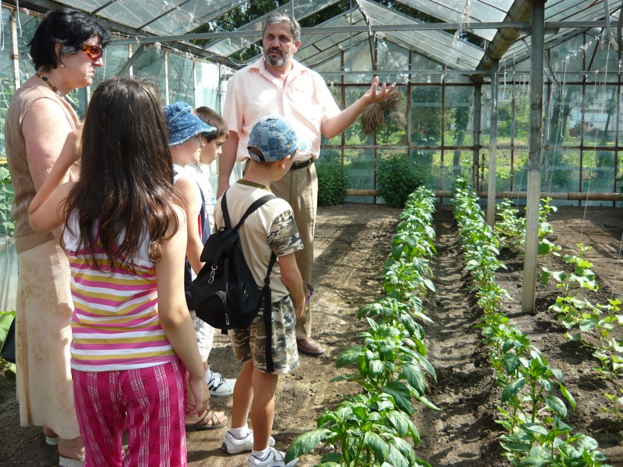 Se deschide "Sera micului horticultor", la Şcoala Speciala "P. P. Neveanu"