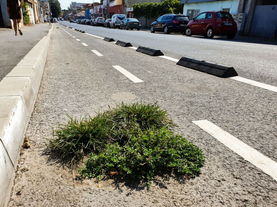 Pe o pistă de biciclete a început să crească iarba