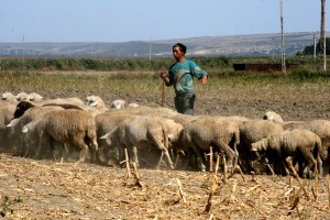 &quot;Stăpânii de sclavi&quot; de la Scânteieşti, aproape de a doua condamnare