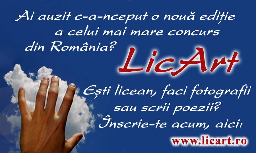 CONCURS de poezie şi fotografie/ Liceenii se pot înscrie la "LicArt"