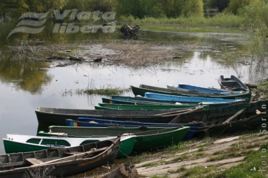 Lunca Joasă a Prutului Inferior - afacere vopsită ecologic