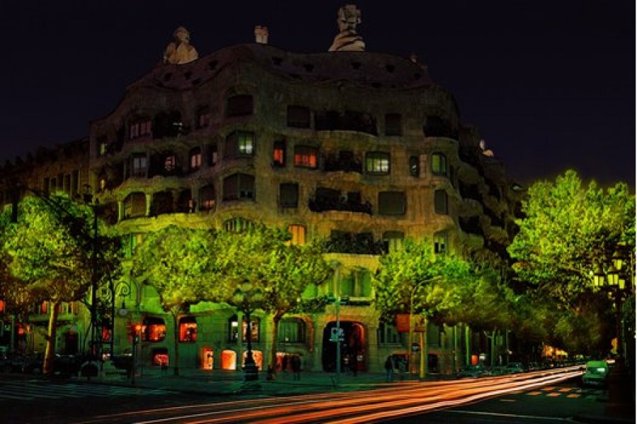 Copacii bioluminiscenţi ar putea înlocui iluminatul stradal într-un viitor apropiat