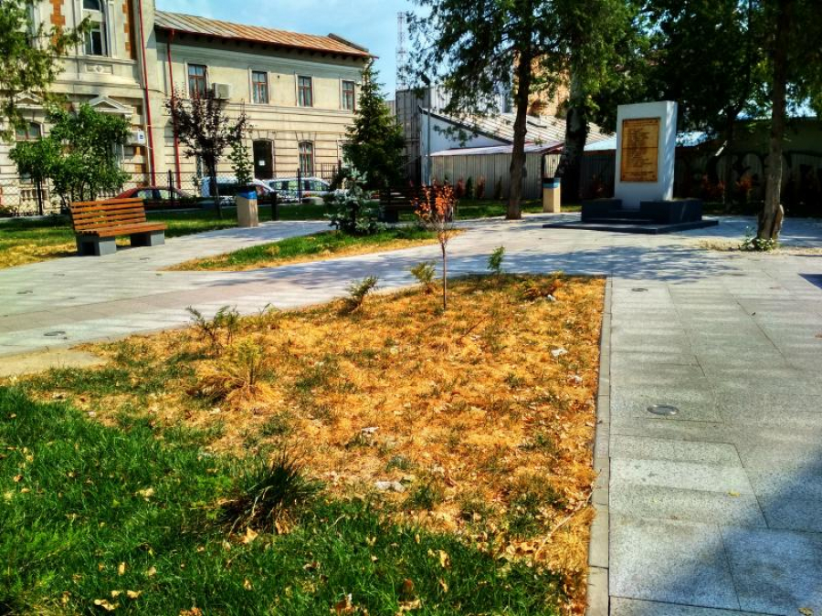 Parcul de la Parfumul Teilor se usucă văzând cu ochii