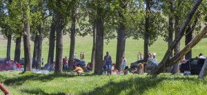 Mare atenţie în vacanţa de 1 mai! Locurile de picnic din Galaţi sunt împânzite de căpuşe