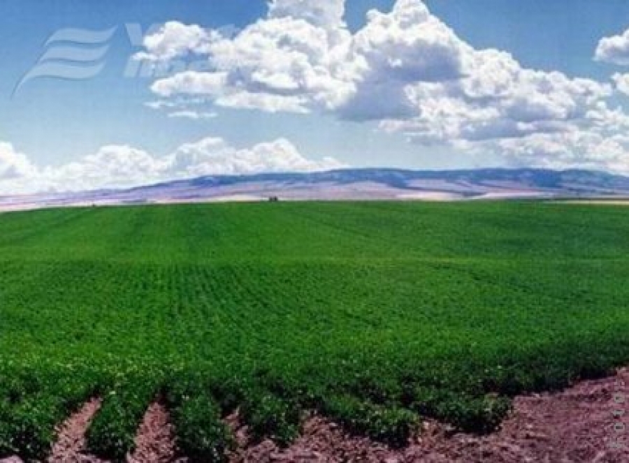 Subvenţii pentru agriculturori