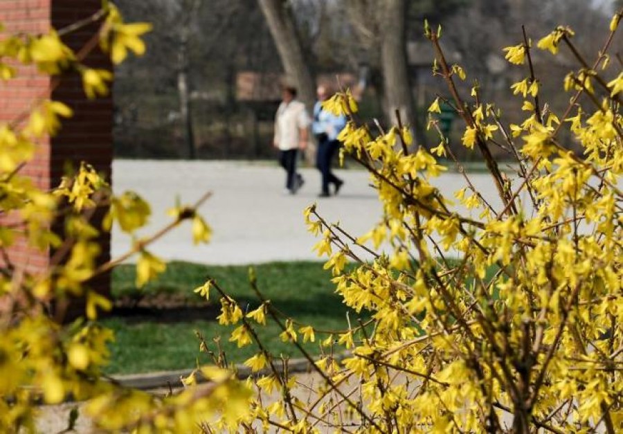 Cum va fi vremea până pe 19 mai 