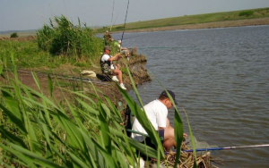 Mai mulţi pescari din Brăila, reuniţi într-o asociaţie. Care este scopul organizaţiei