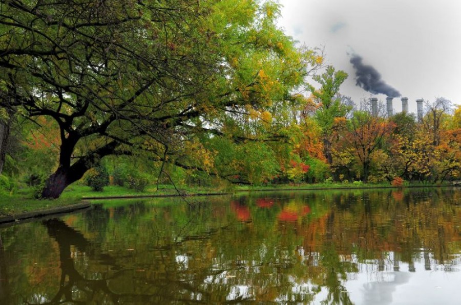 5 iunie - Ziua Mondială a Mediului: Oricine poate să distrugă sau să apere natura