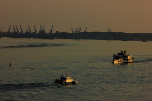Insula de pe Dunăre, concesionată pe 49 de ani