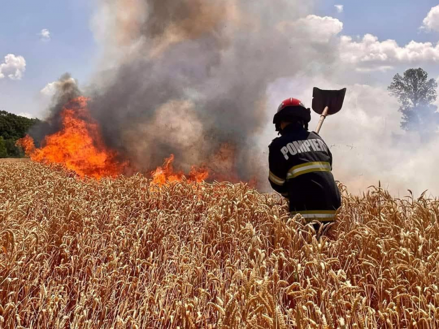 Direcția Județeană de Mediu trage un semnal de alarmă