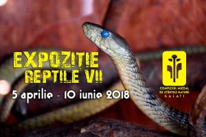 Încă mai puteţi vizita EXPOZIȚIA de reptile vii!
