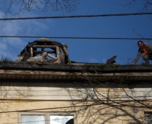 Căţel salvat de pe acoperişul unei clădiri avariate 