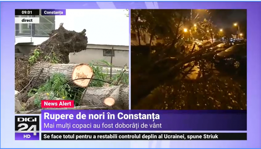Constanța și Giurgiu: arbori doborâți, străzi inundate, mașini blocate în șuvoaie