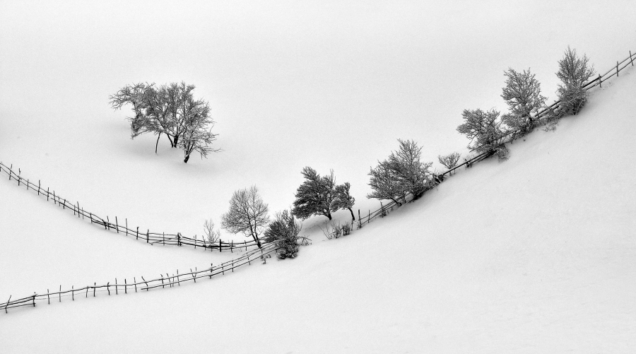 VERNISAJ cu peste o sută de FOTOGRAFII premiate