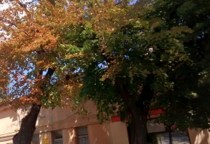 PROGNOZA METEO/ Cum va fi VREMEA, luni, la GALAŢI
