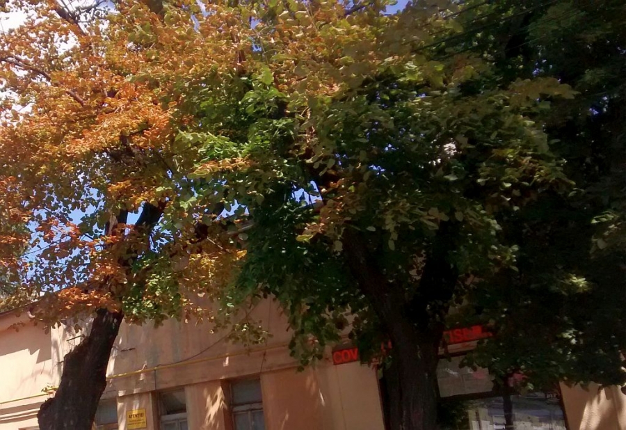 PROGNOZA METEO/ Cum va fi VREMEA, luni, la GALAŢI