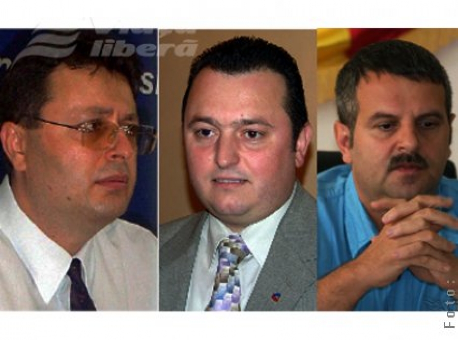 Necula, Aramă şi Finkelstain - candidaţi oficiali ai PDL 