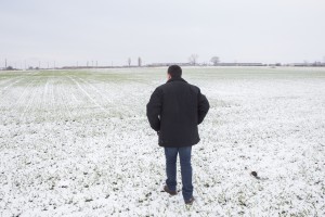 Anul agricol 2014 ar putea fi unul de excepţie pentru judeţul Galaţi