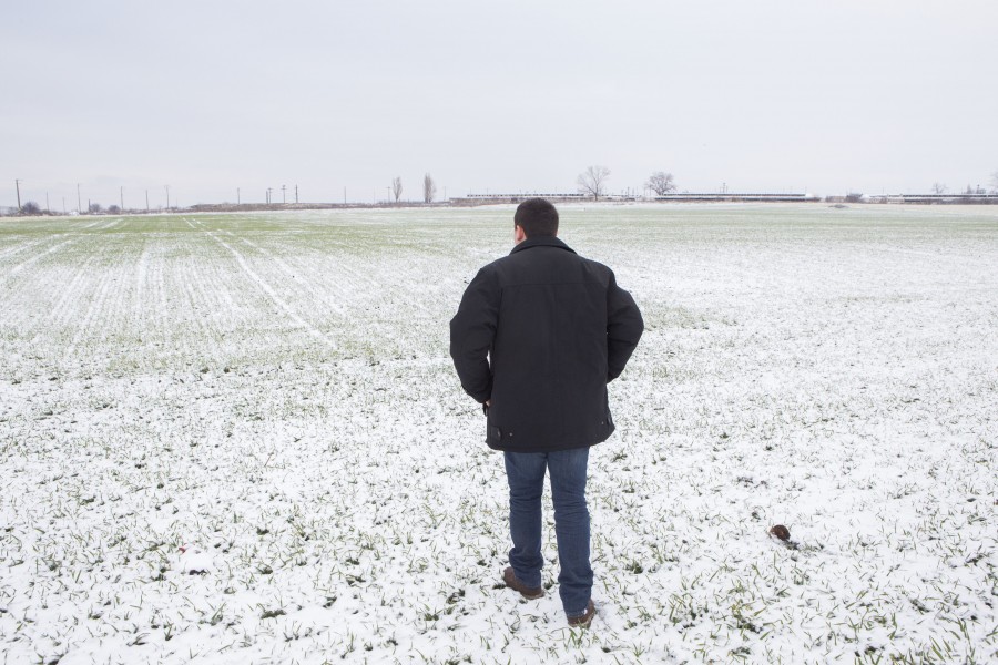 Anul agricol 2014 ar putea fi unul de excepţie pentru judeţul Galaţi