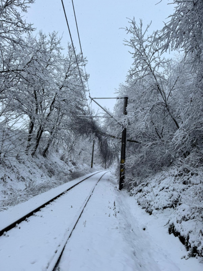 Trei trenuri afectate de vremea nefavorabilă pe raza Regionalei CFR Galați
