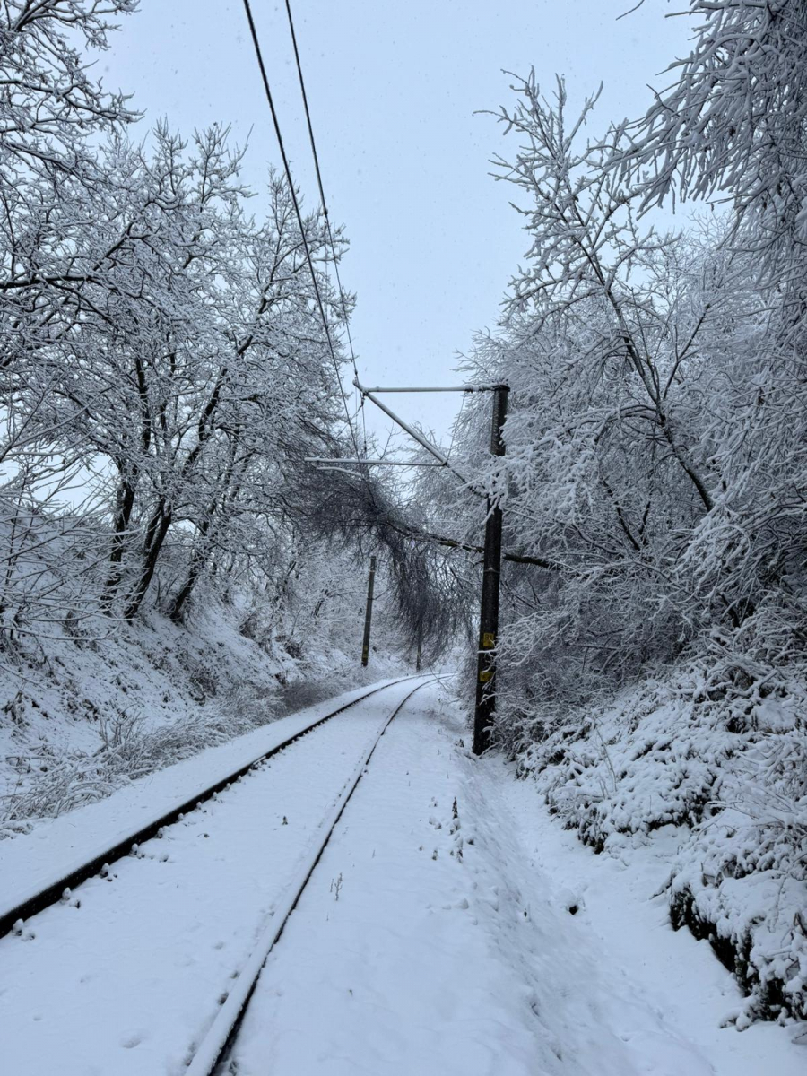 Trei trenuri afectate de vremea nefavorabilă pe raza Regionalei CFR Galați