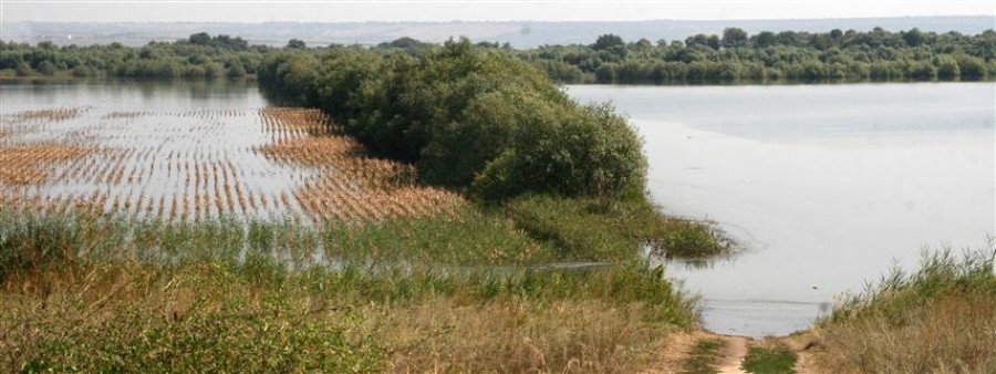 Cei de la „Apele Române”  fac hărţi de risc de inundaţii în bazinul Prut-Bârlad