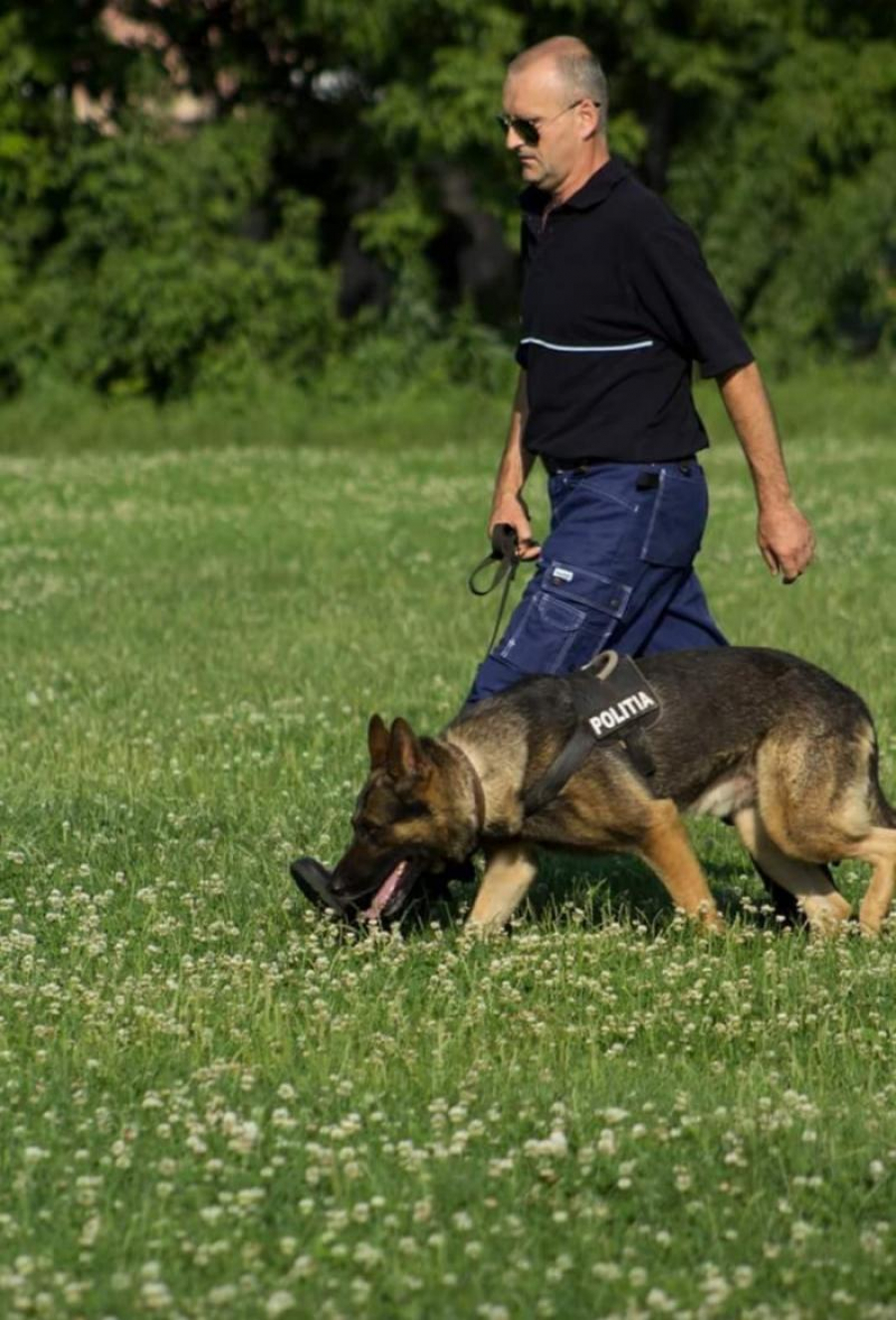 Secretele dresajului, cu instructorul canin Lucian Donosă