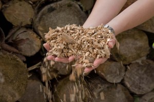 Producătorii de biomasă s-au ASOCIAT