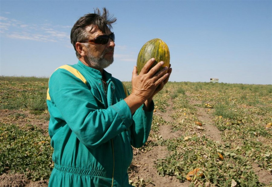 Găsim şi noi, la Ziua Recoltei: Papa de la Roma şi cantalupul de Umbrăreşti