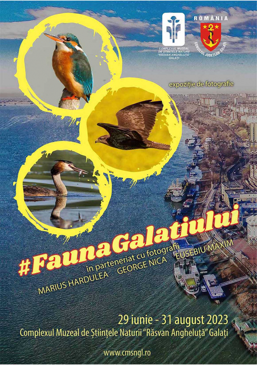 Fauna Galaţiului, prin obiectivele a trei fotografi locali