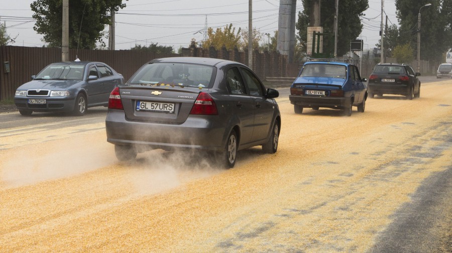 Şoseaua de Centură, acoperită de sute de kilograme de porumb