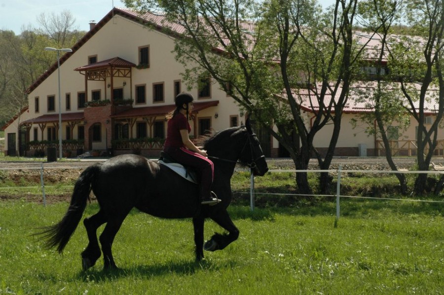 Pentru iubitorii de echitaţie: Raiul cu cai de la Herneacova