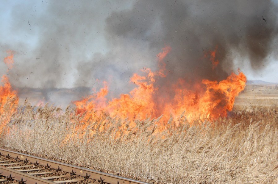 Incendiu de vegetaţie în comuna gălăţeană Barcea