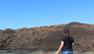 UPDATE | Amendă pentru firma care a depozitat gunoi de grajd la Nămoloasa