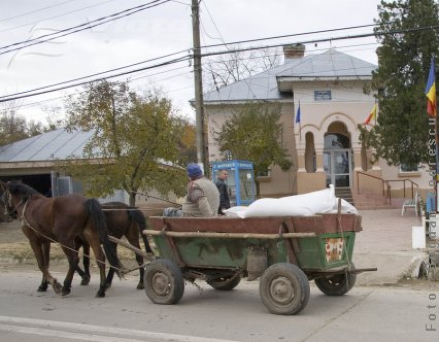 Cavadineşti: Săraci de n-au nici după ce bea apă 