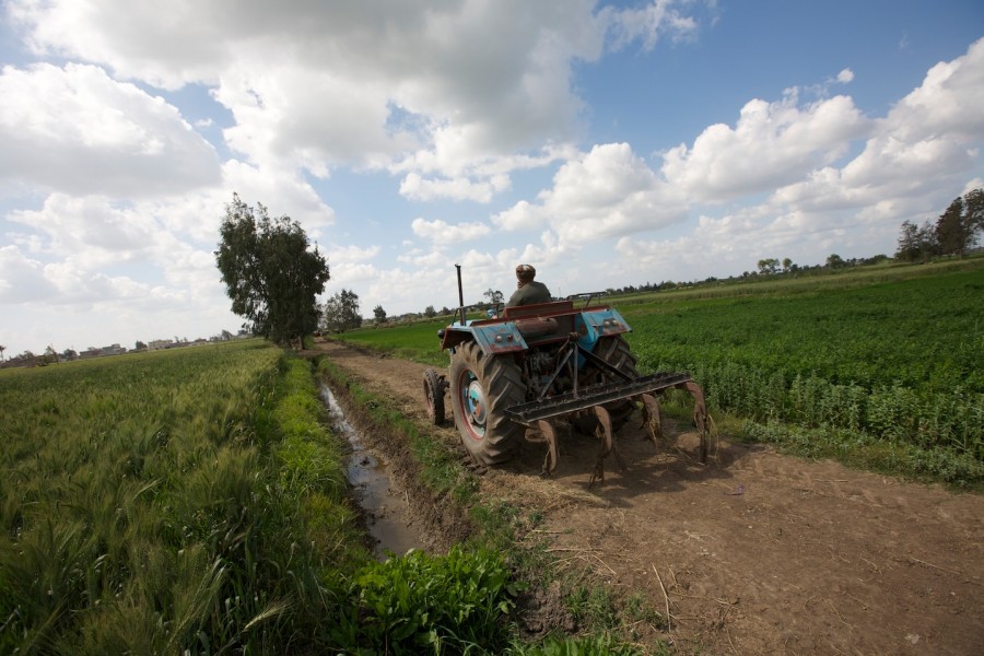 Veşti bune pentru agricultori: Va creşte subvenţia pe suprafaţă, potrivit Ministrului Agriculturii 