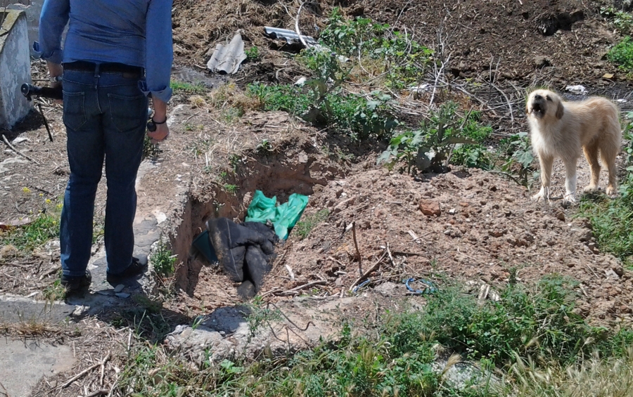 CRIMĂ ORIBILĂ la Griviţa/ Câinii au dezgropat cadavrul unui om UCIS ÎN BĂTAIE