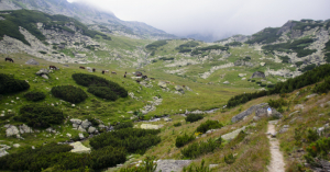 România, supranumită ultima rezervație sălbatică din Europa. Top trei trasee pentru o vacanță petrecută la munte