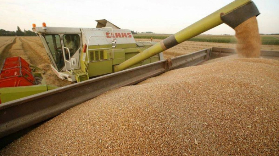 Țările din Europa de Est, afectate de afluxul de cereale din Ucraina