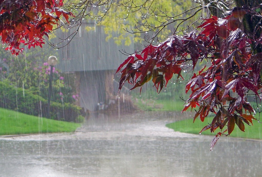 Ploi şi temperaturi oscilante, în următoarele două săptămâni