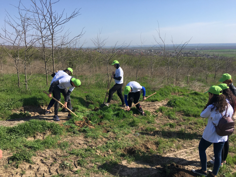 Respect pentru natură. Începe Luna plantării arborilor